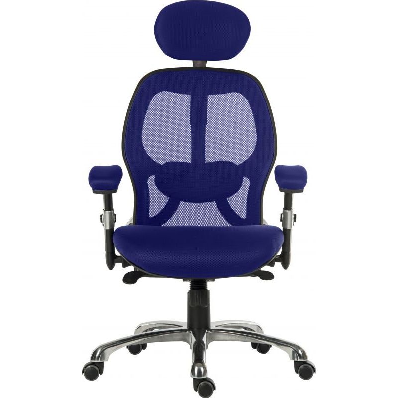 Office Cobham Luxury Mesh Back Executive Chair - (2 Colors) - Warehouse Storage Products