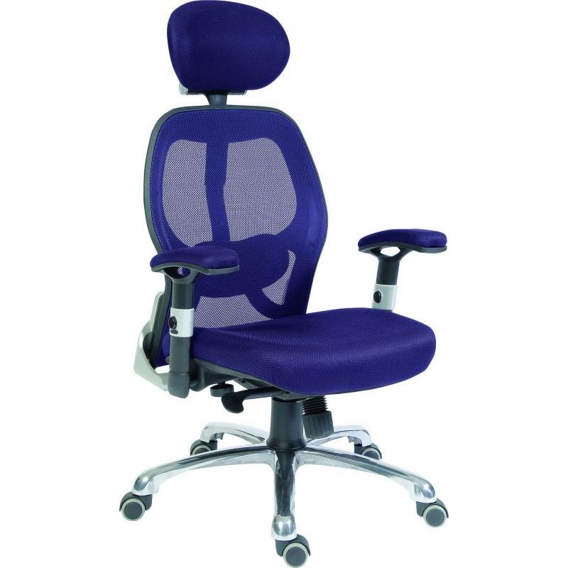 Office Cobham Luxury Mesh Back Executive Chair - (2 Colors) - Warehouse Storage Products