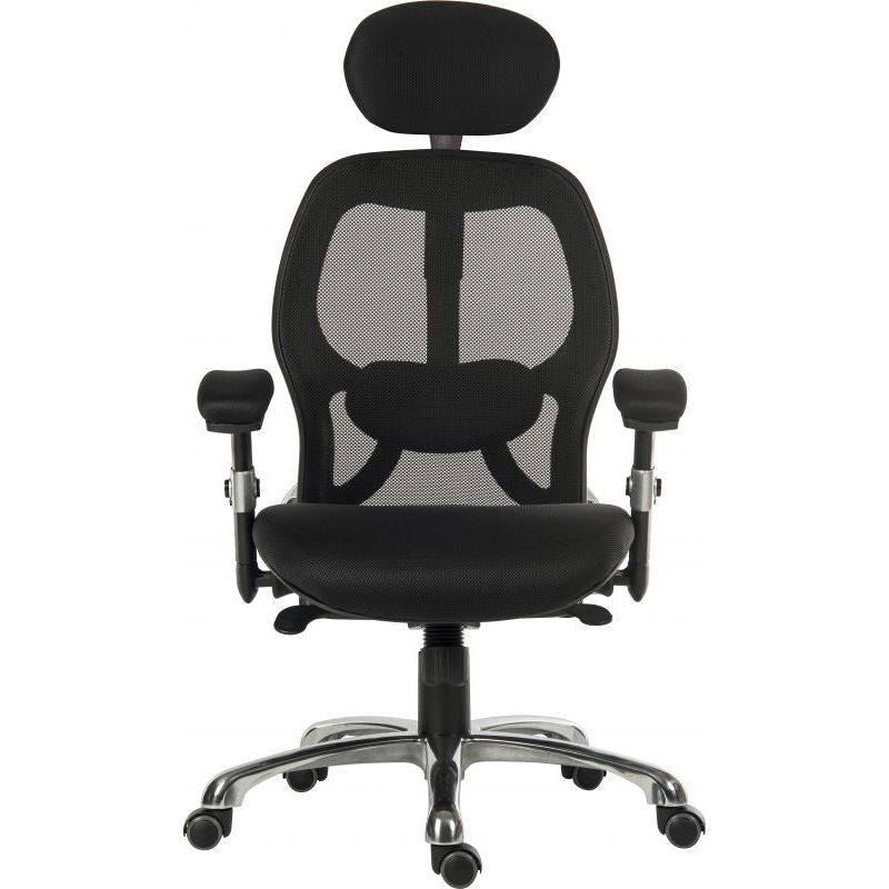 Office Cobham Luxury Mesh Back Executive Chair - (2 Colors) - Warehouse Storage Products